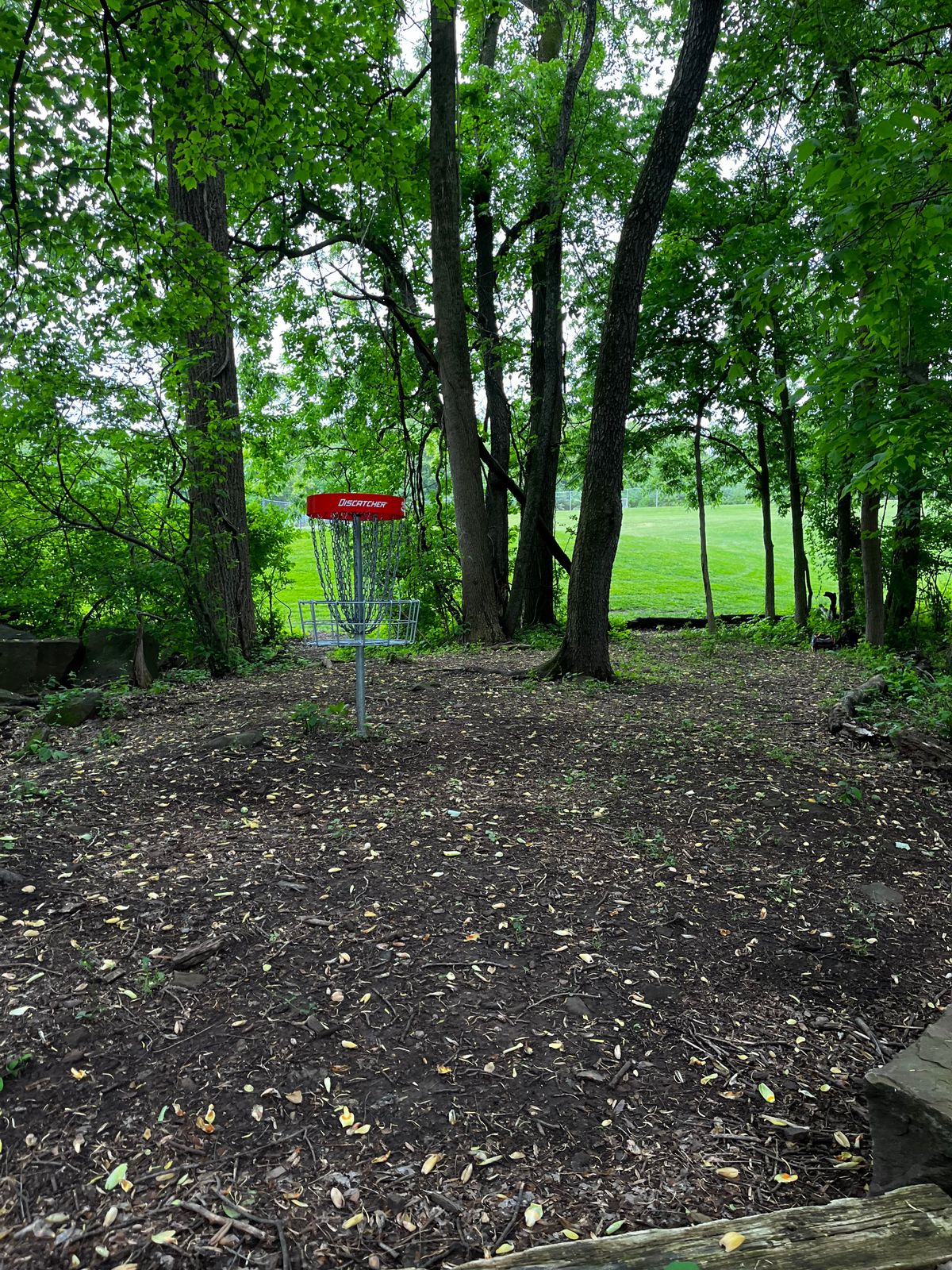 Hole 14 red green