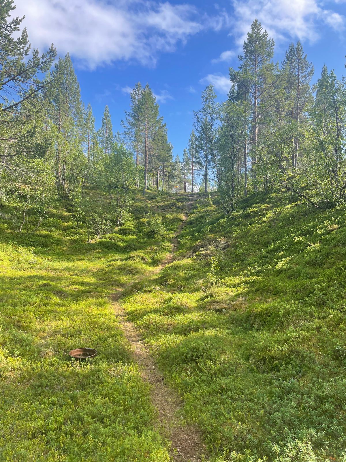 Väylä 12