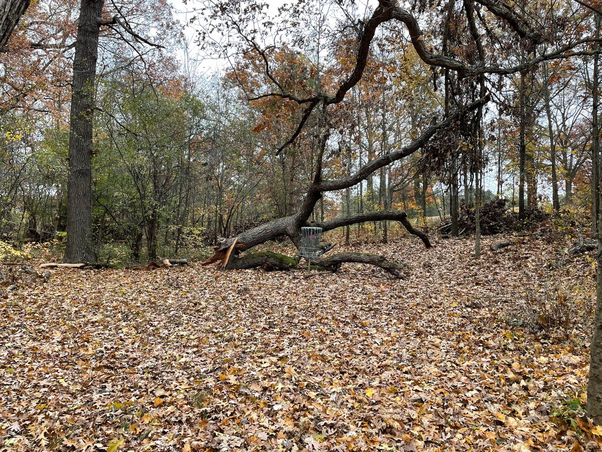 Hole 18 basket