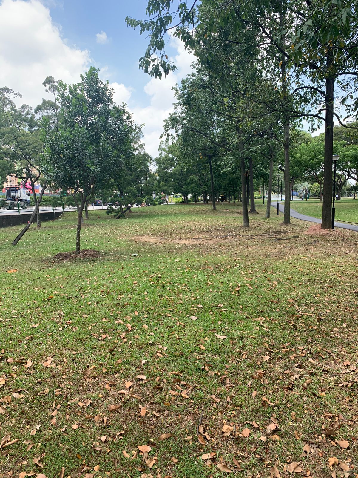 Hole 5 Fairway
