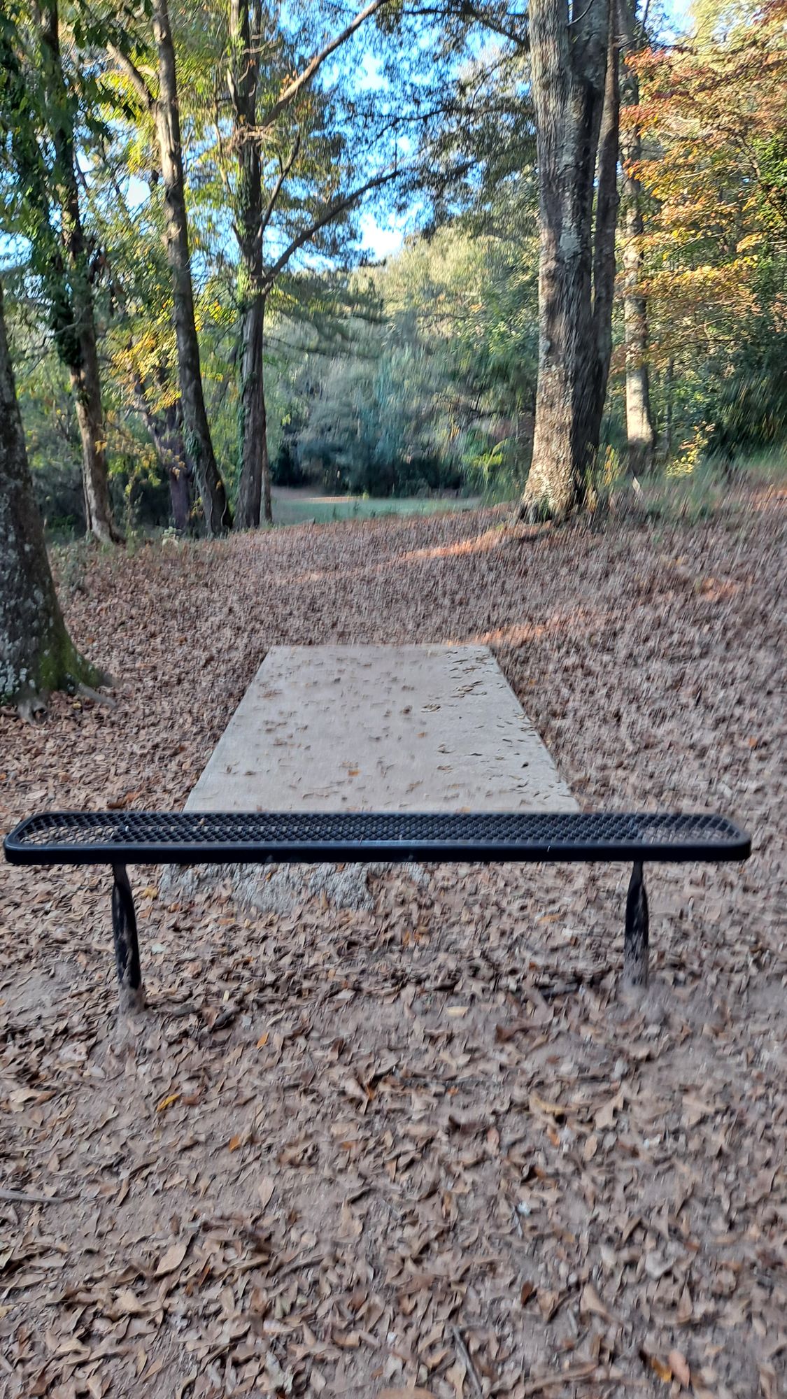 #15 short teepad 707 feet par 5 downhill