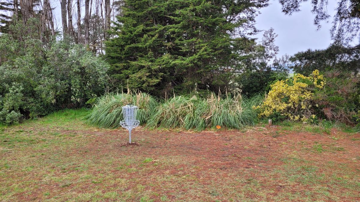 Hole 9 Basket