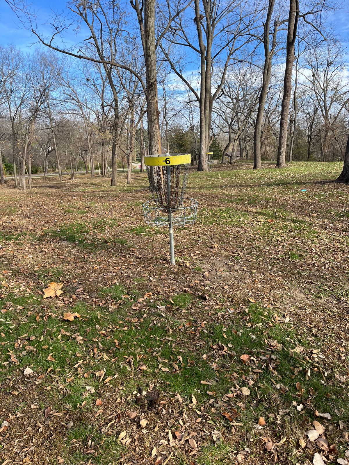 Hole 6 Basket