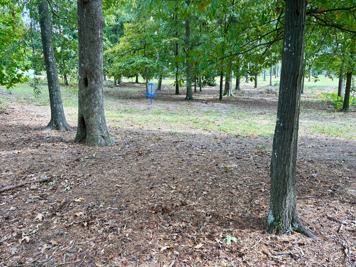 Hole 3 approach