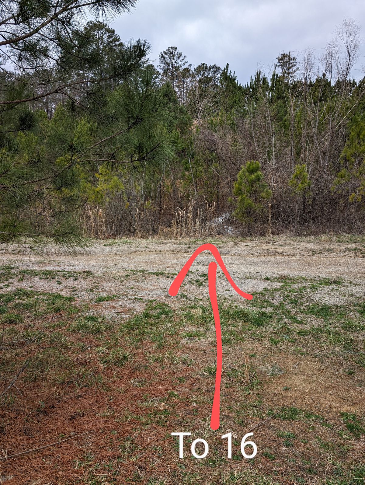 Path to hole 16