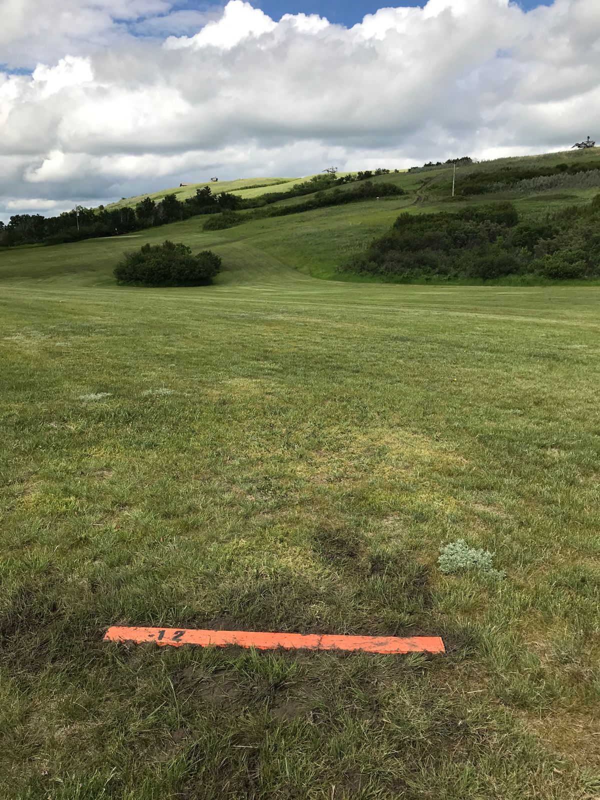 Hole 12. Dog leg left. Basket is tucked in front of the bushes on the left.
