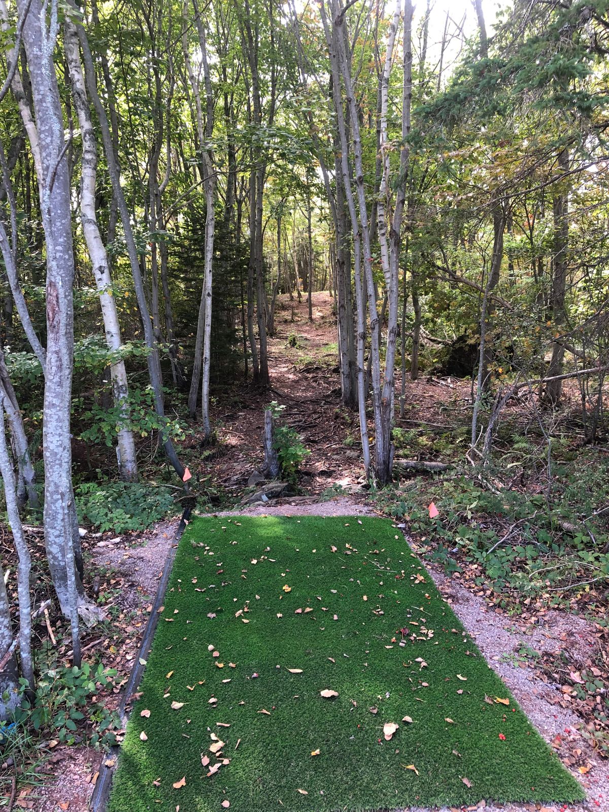Tee pad hole 5 oct 7 21
