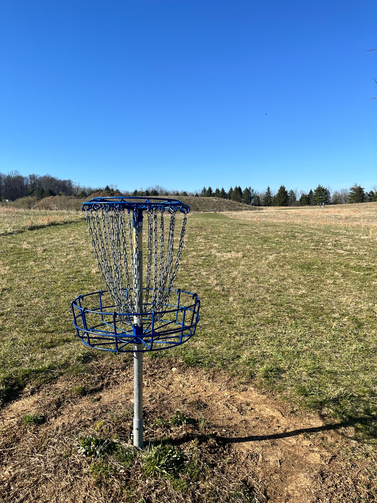 Hole 10 Basket