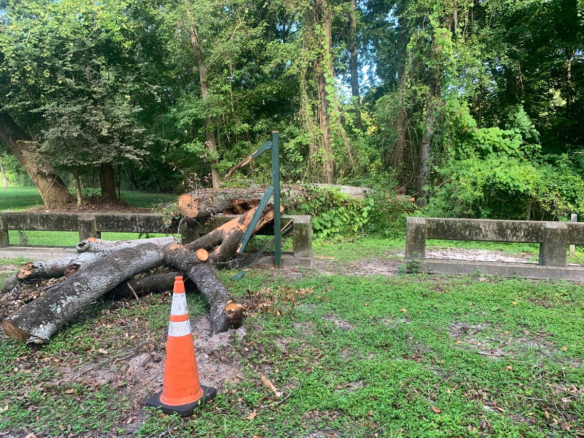 Hole 1 Teepad to the right of the tree.  Basket  to the left