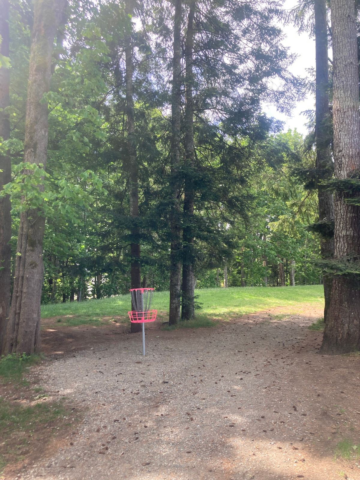 Hole 16 Basket