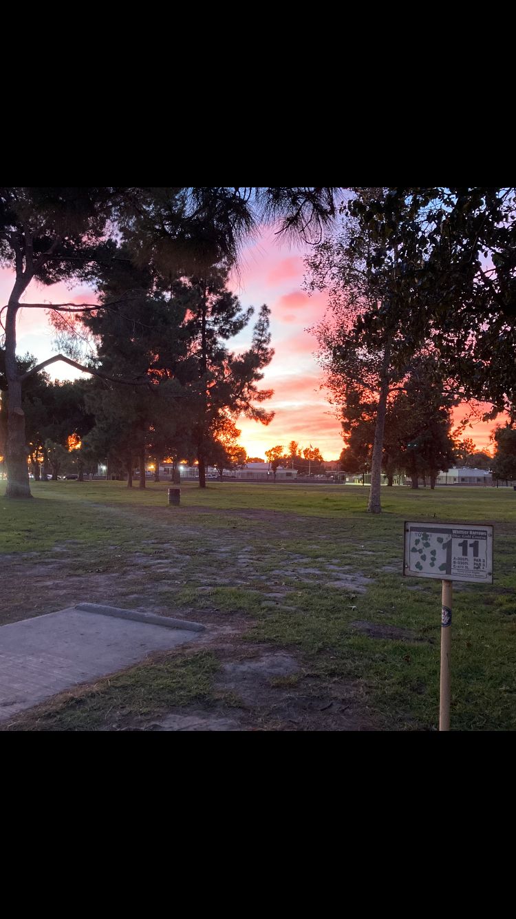Sun setting on hole 11