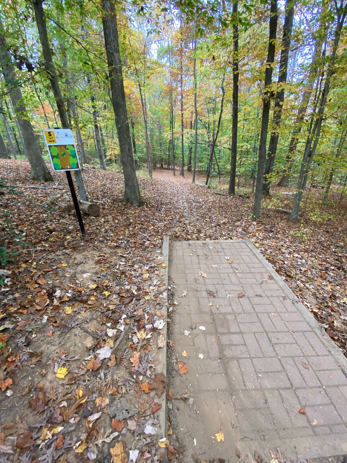 Hole 5