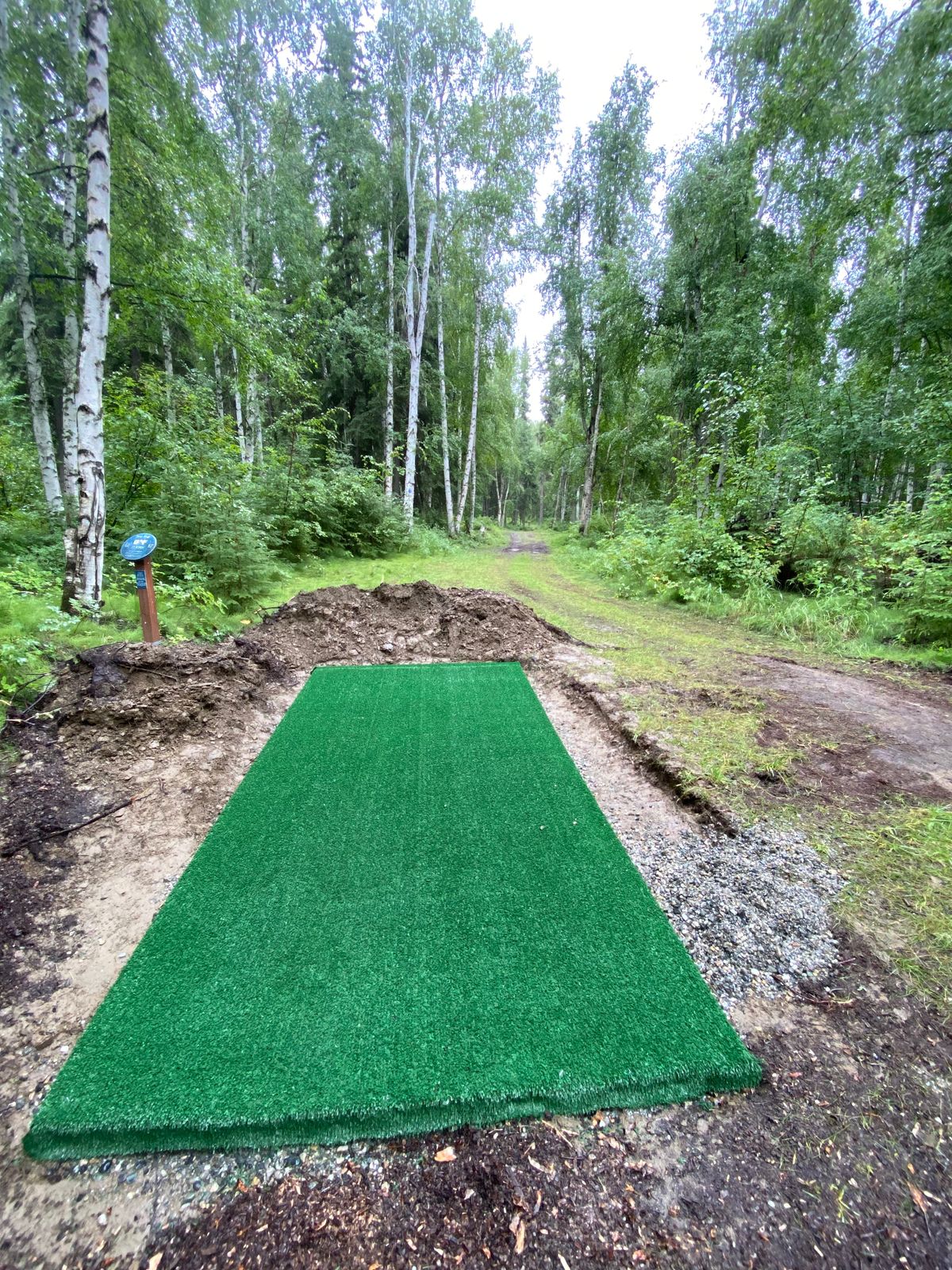 Hole 17 tee pad, basket at end of trail under spruce tree