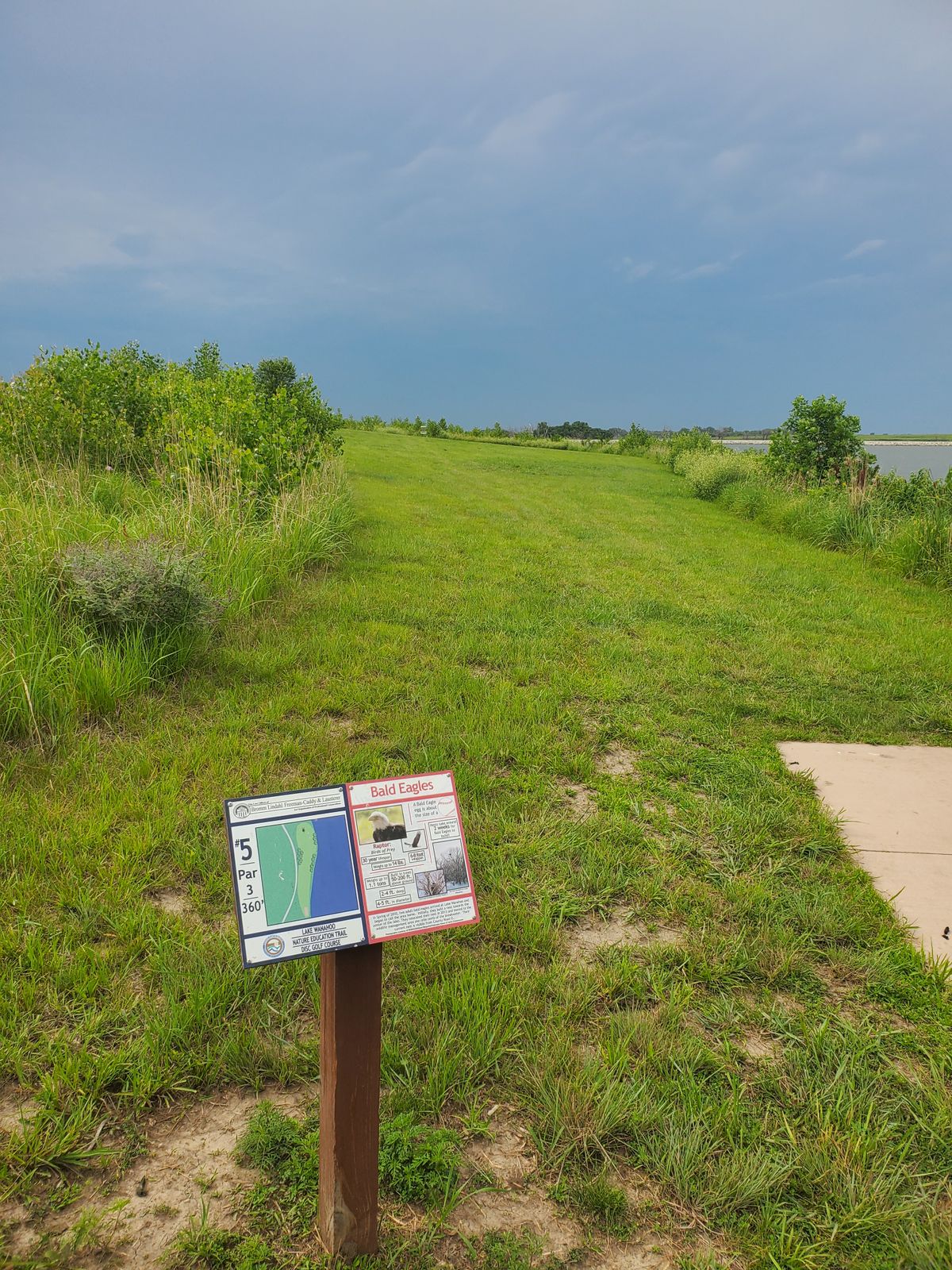 Hole 5