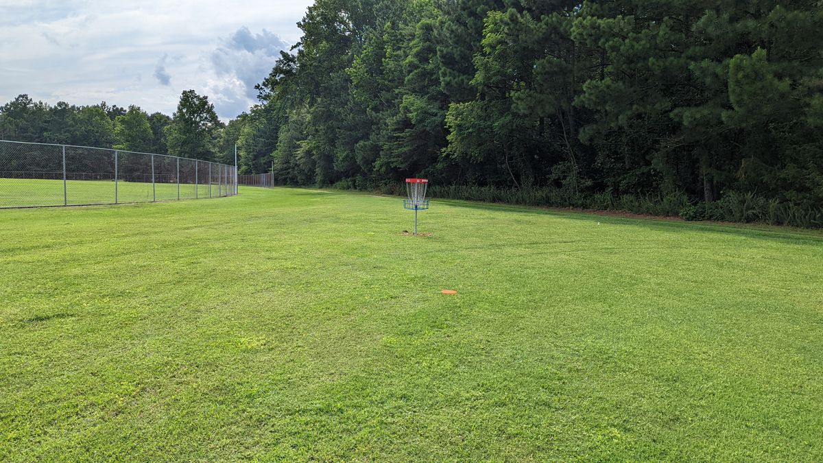 Hole 7 basket