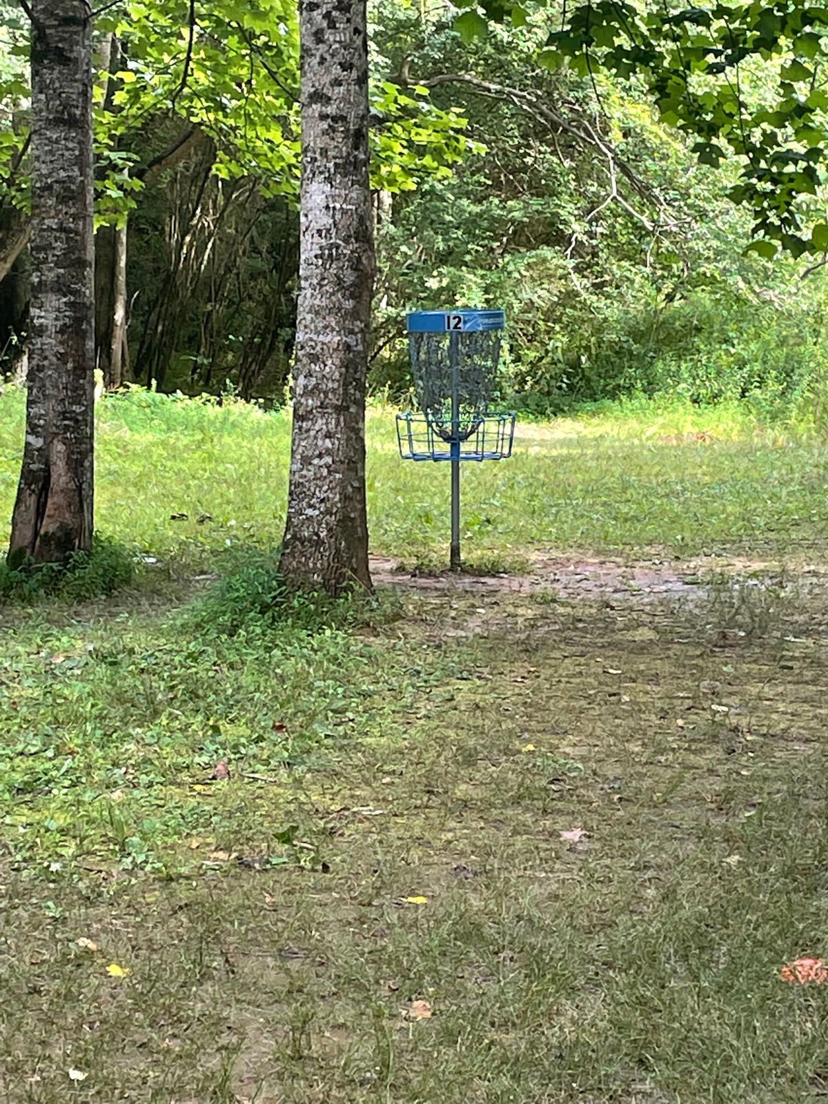 Hole 12 “danger island”
