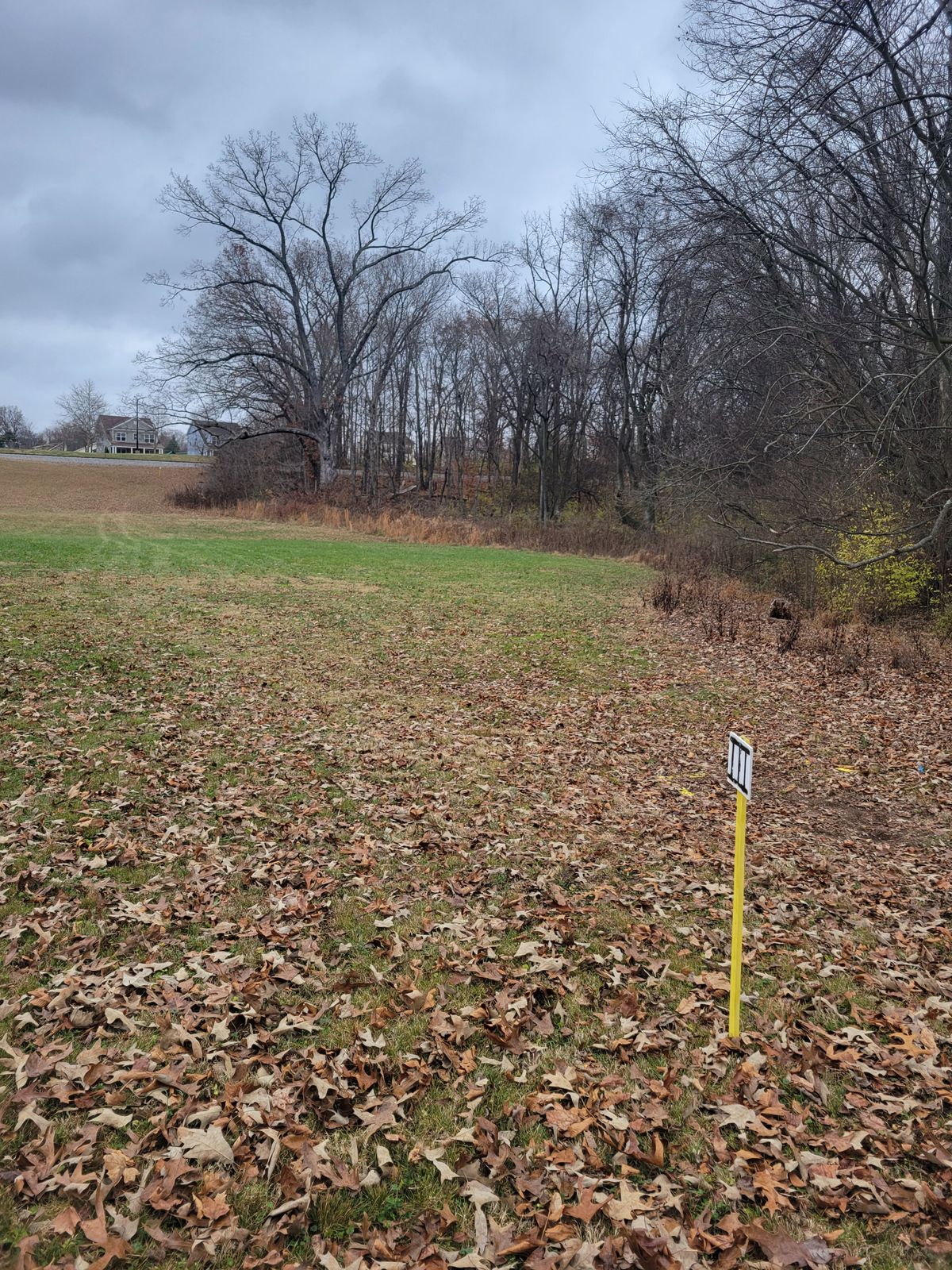 Hole 3