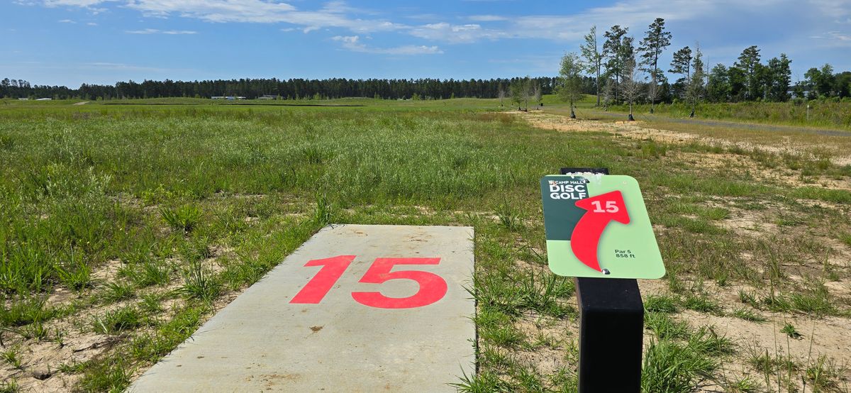 Hole 15