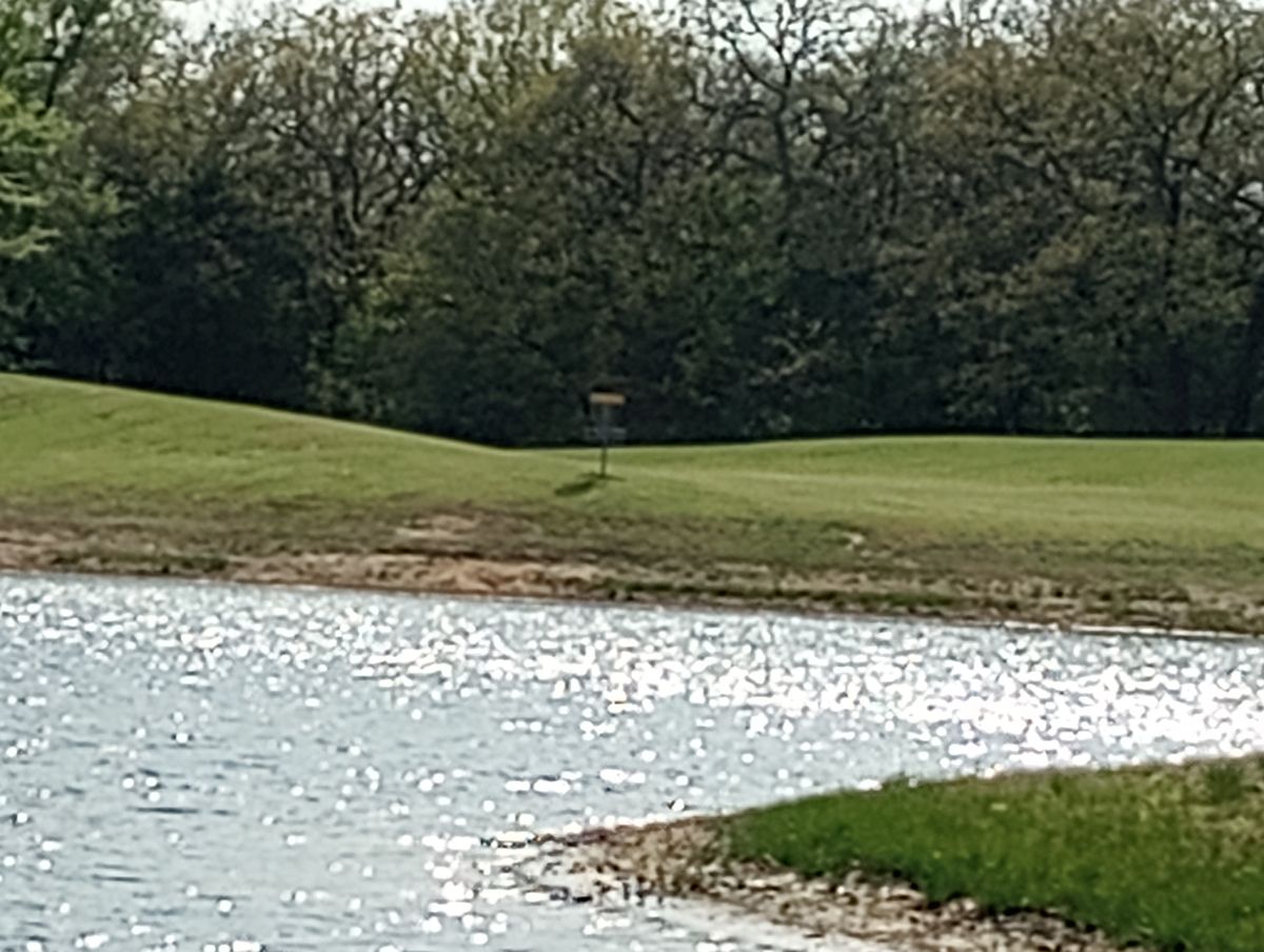Looking at hole 1 basket from across the pond.