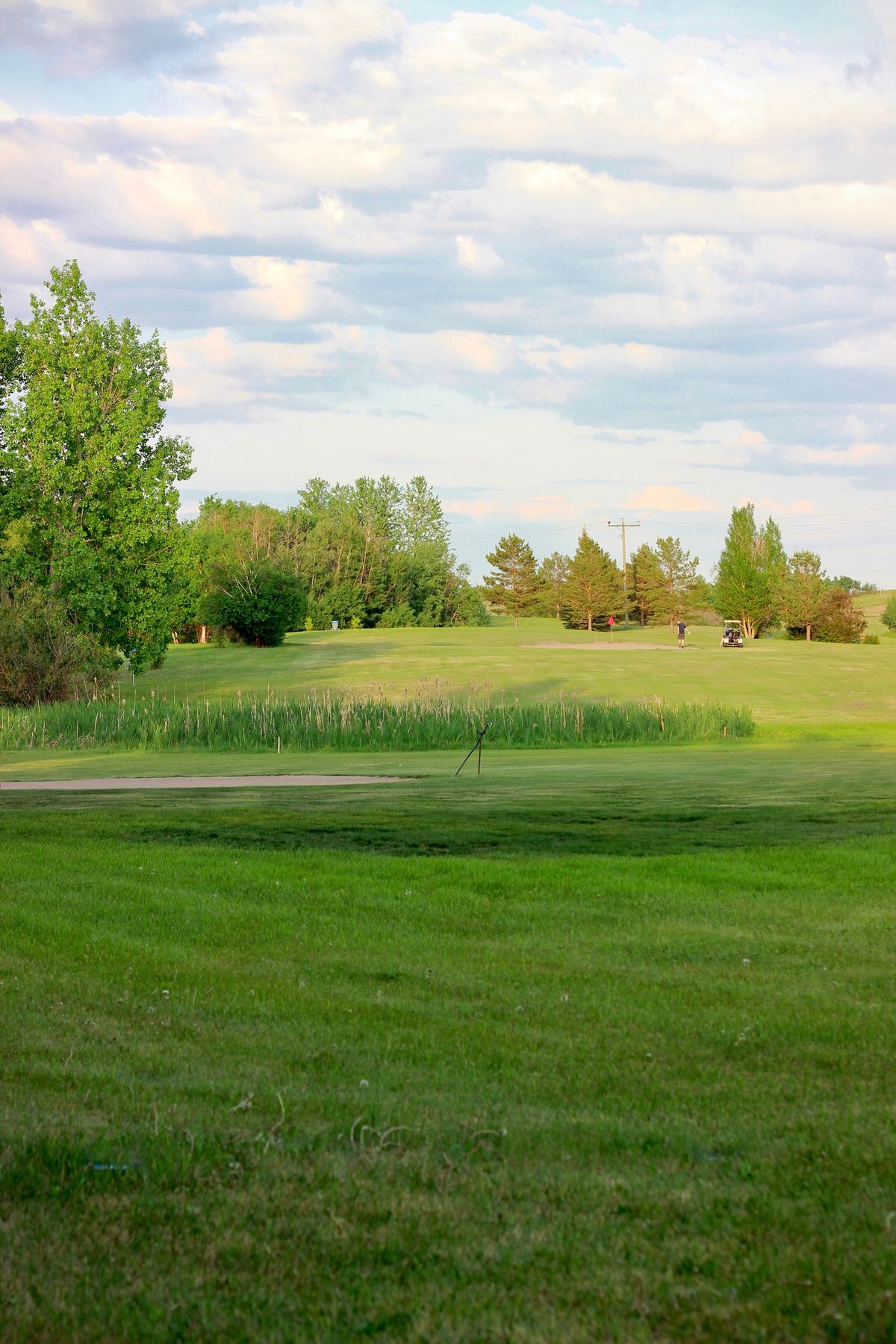 Blue Tee - Fairway