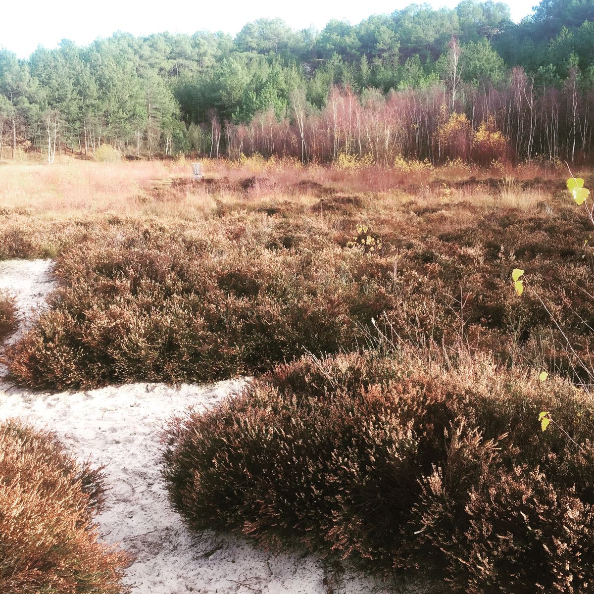 Hole 2