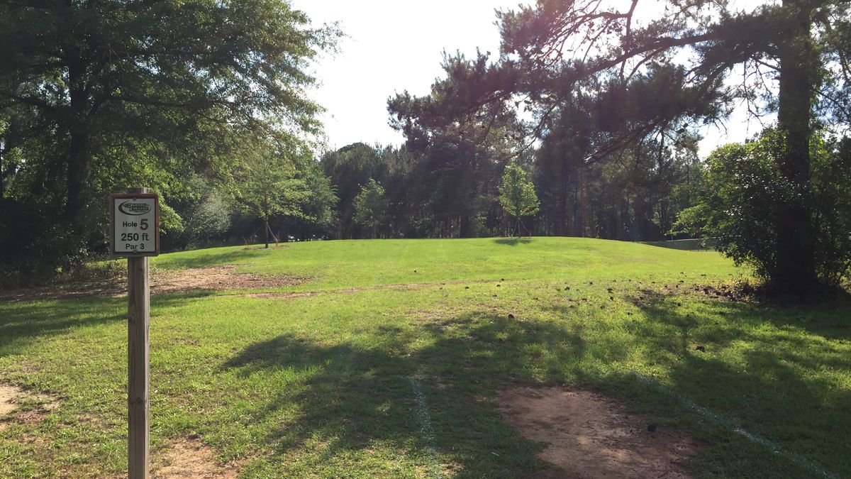 Hole 5