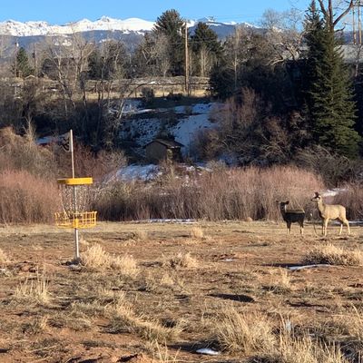 No better way to practice putting then with these beautiful friends watching over hole 10!