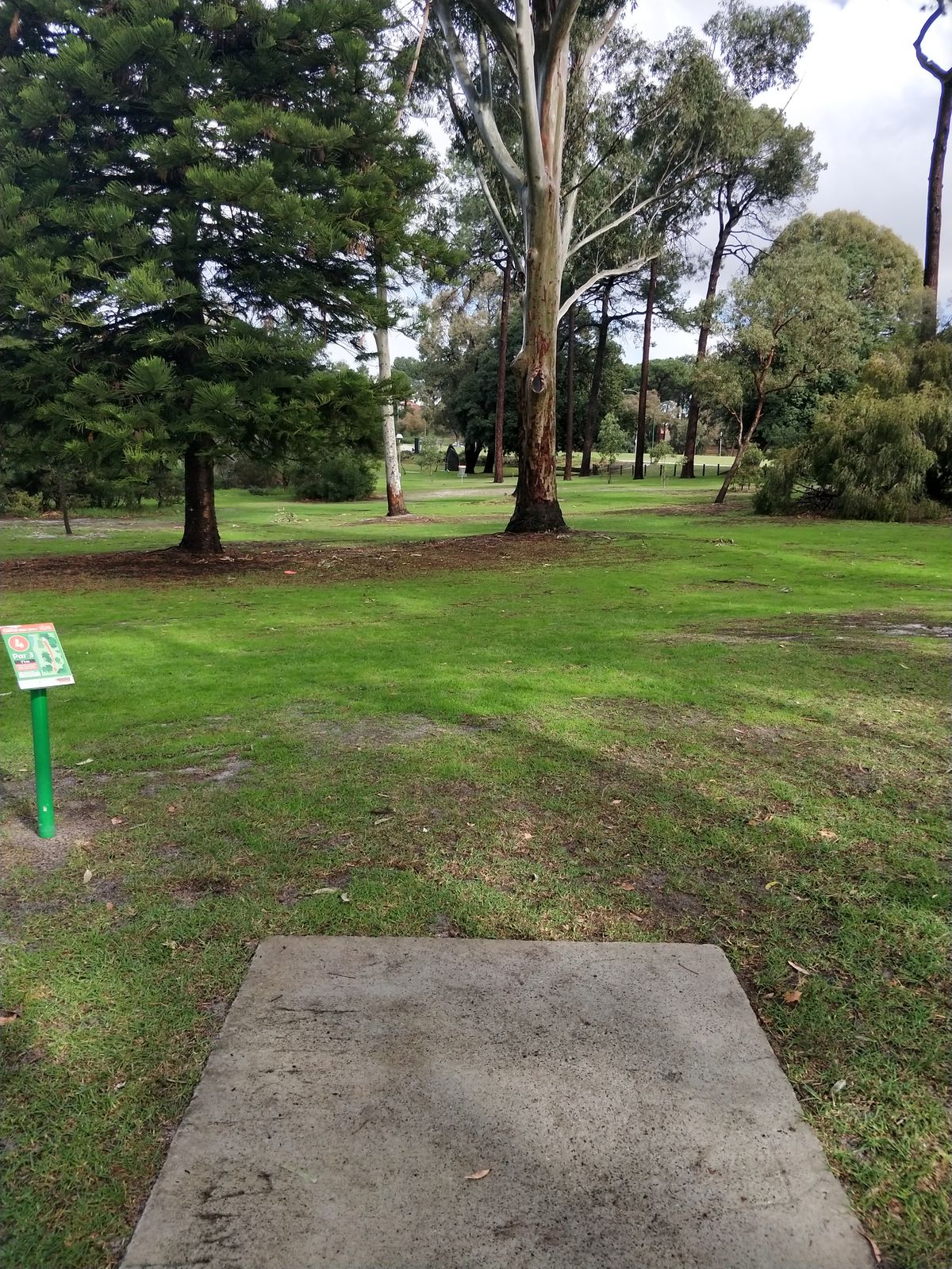 Hole 4
