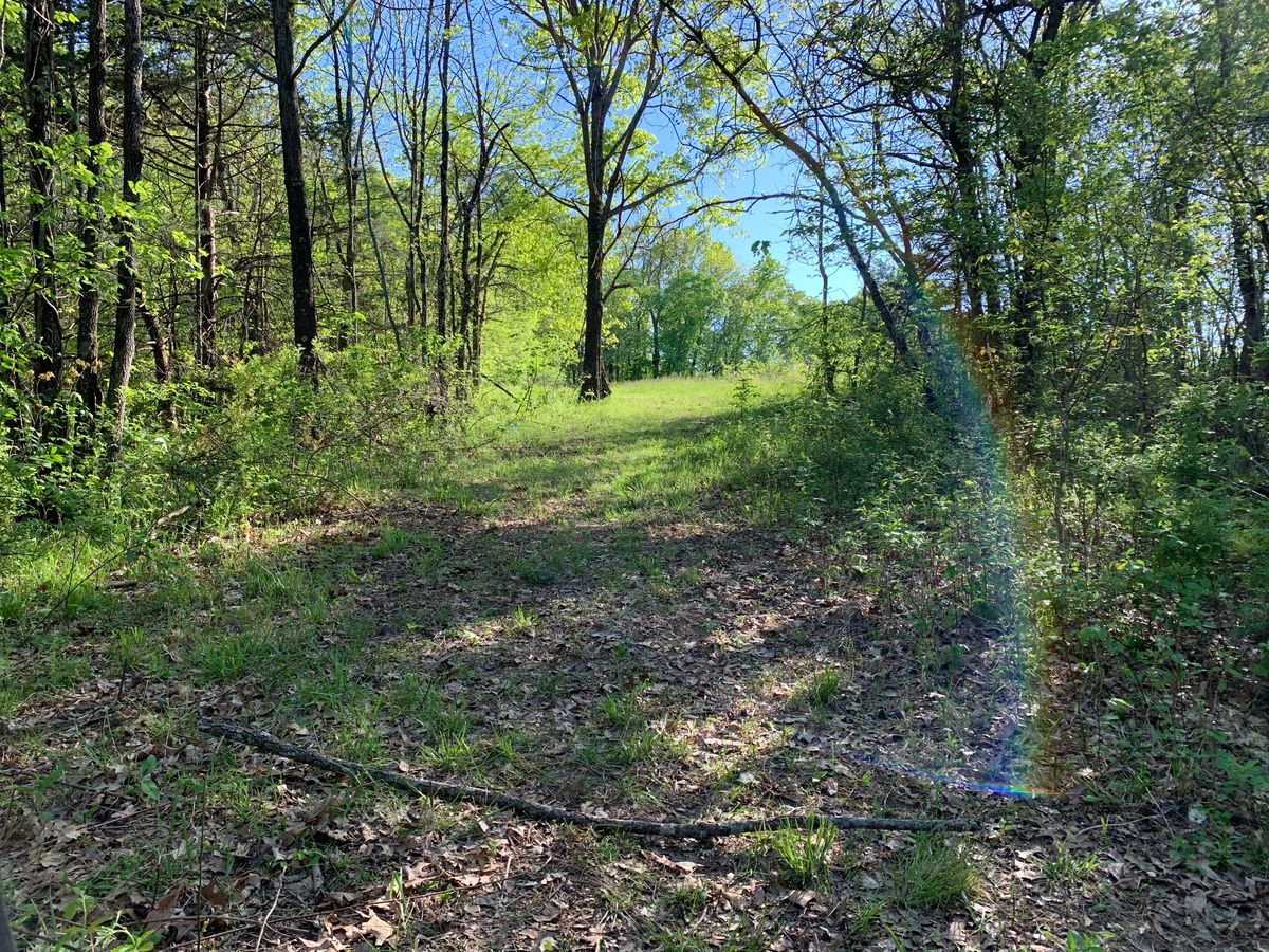 Hole 4  
Shooting out into the field, finishing slightly right