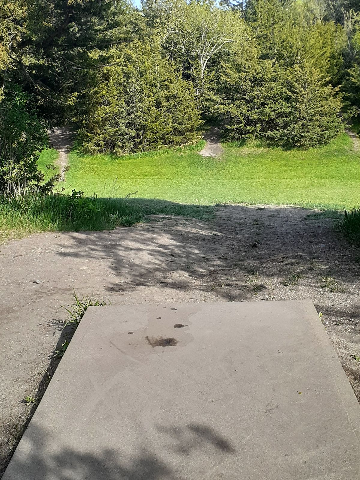 Hole 7