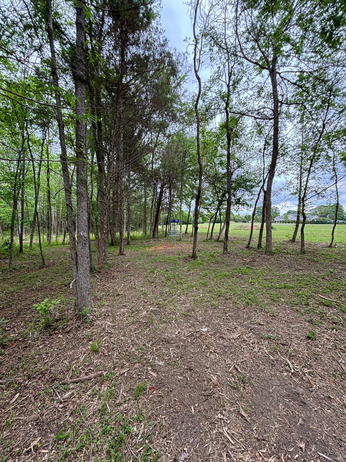 Hole 4