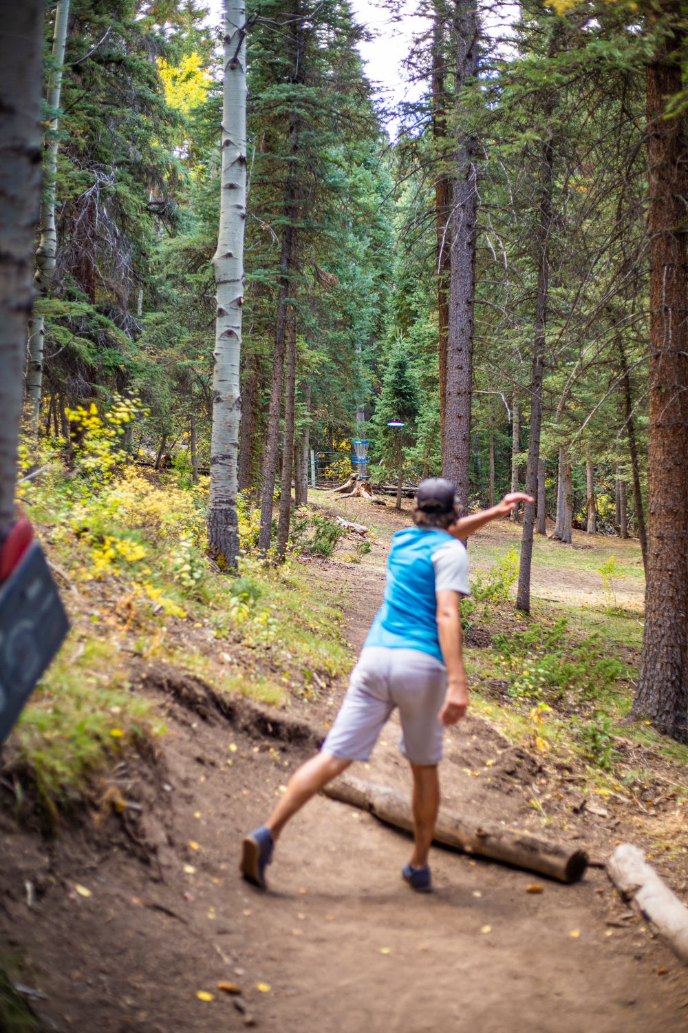 Hole 8 tee, throwing to A position (two baskets in play at all times)