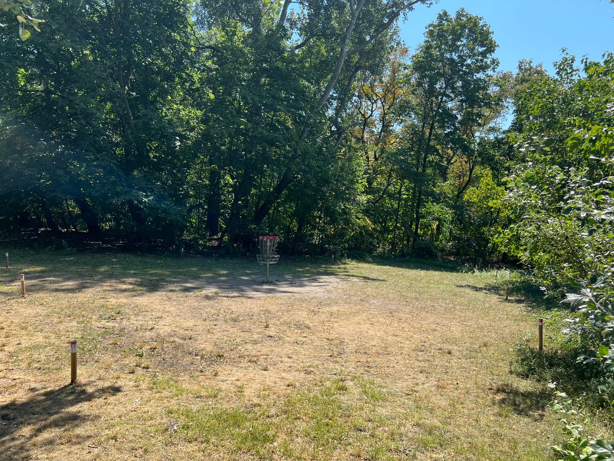 Island hole 18