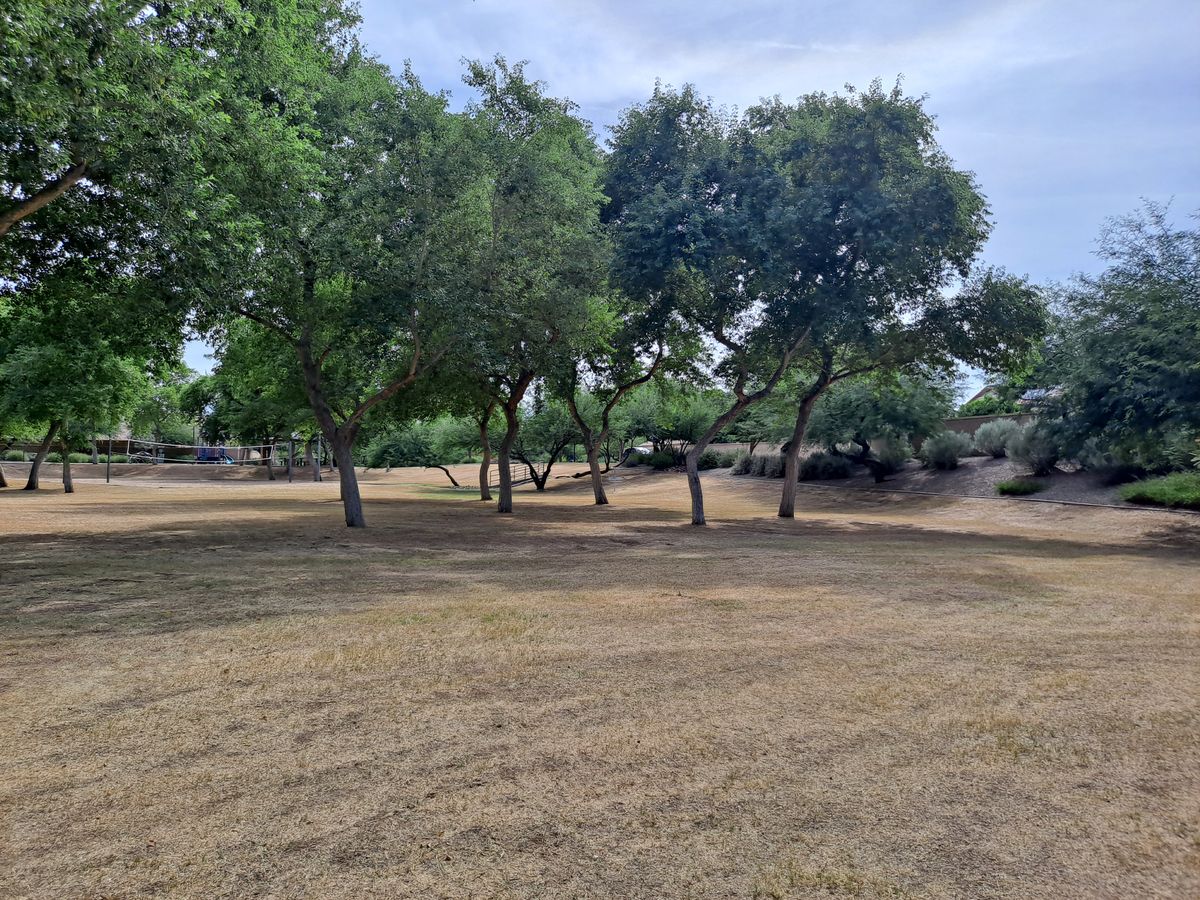 Hole 1 basket