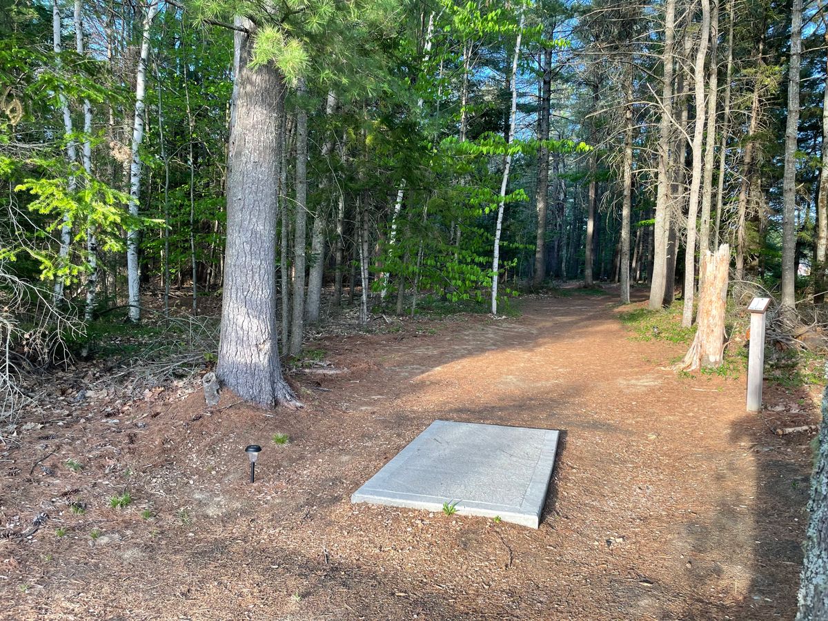 Hole 1 tee