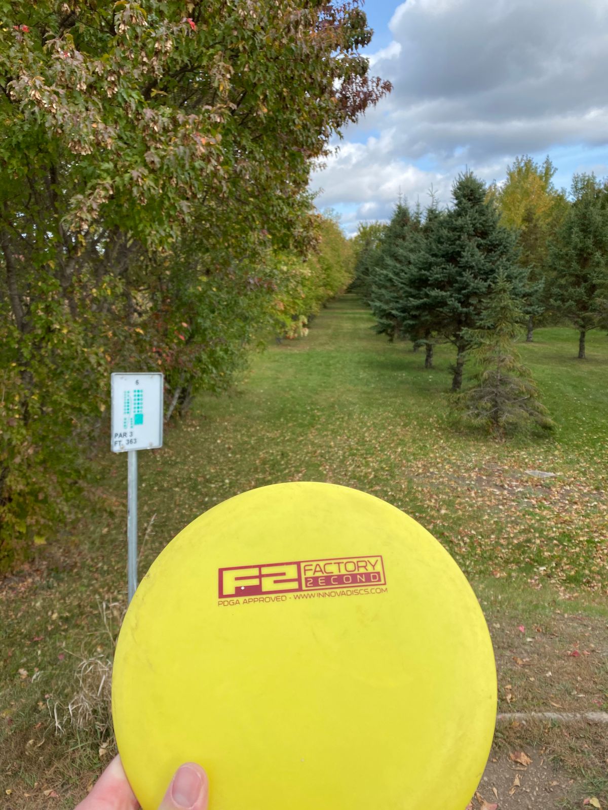 Fairway on Hole 6