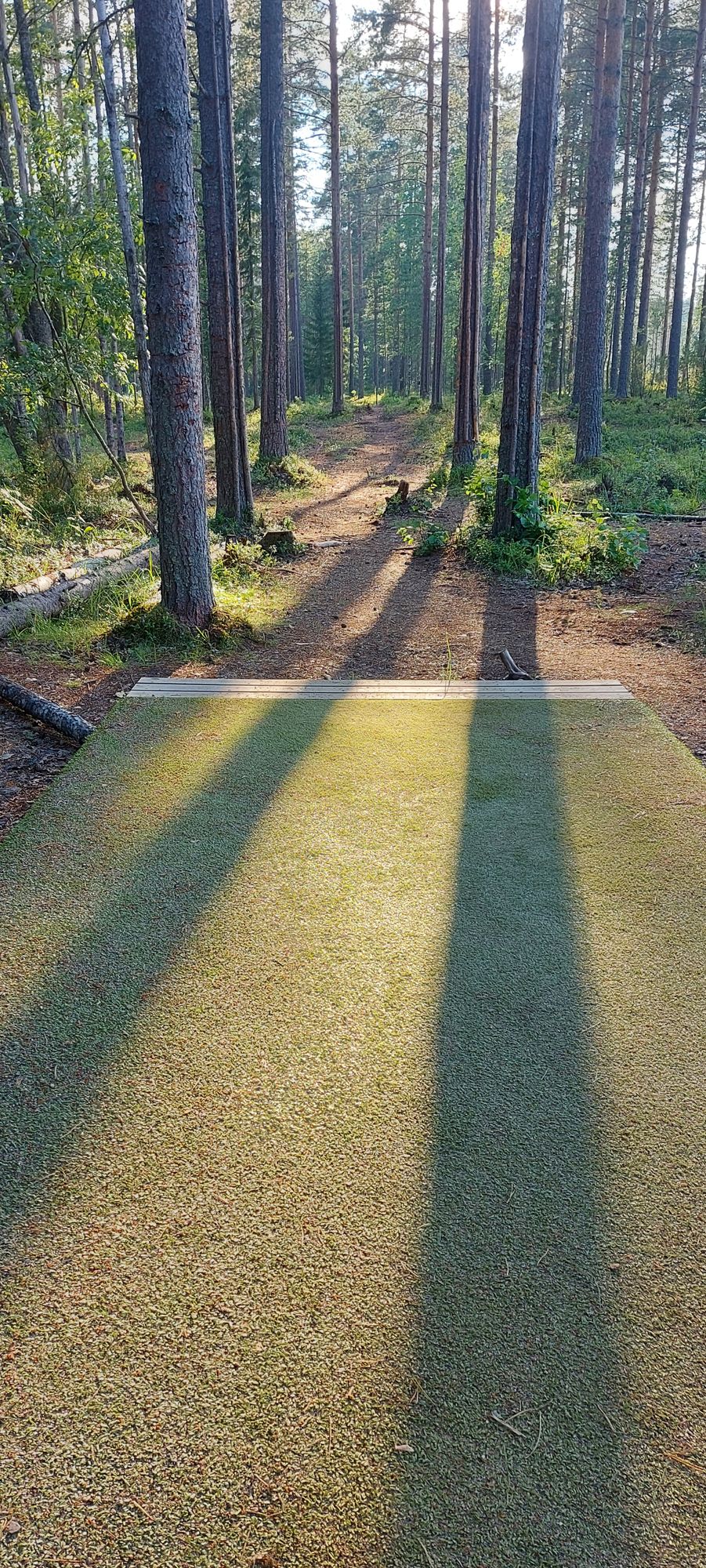 Tarinalaakso New Course tee 7