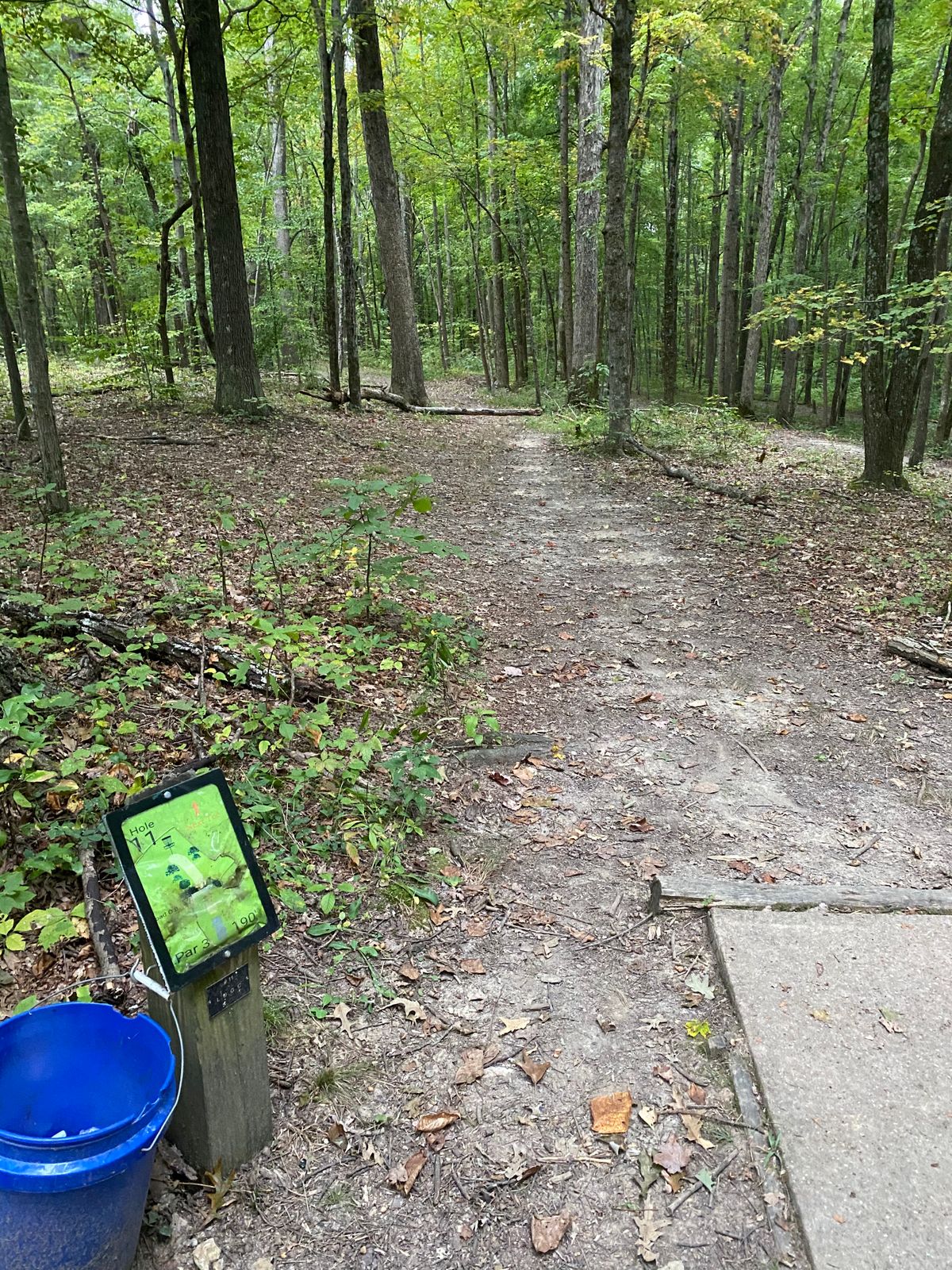 Hole 11