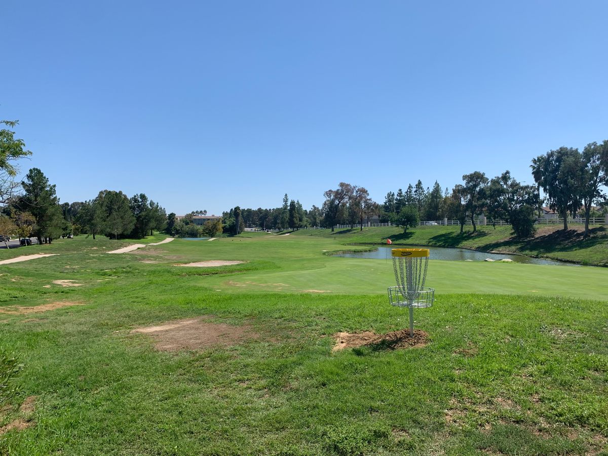Omega Hole 4 Basket