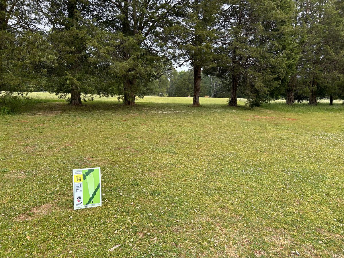 Hole 14 from tee