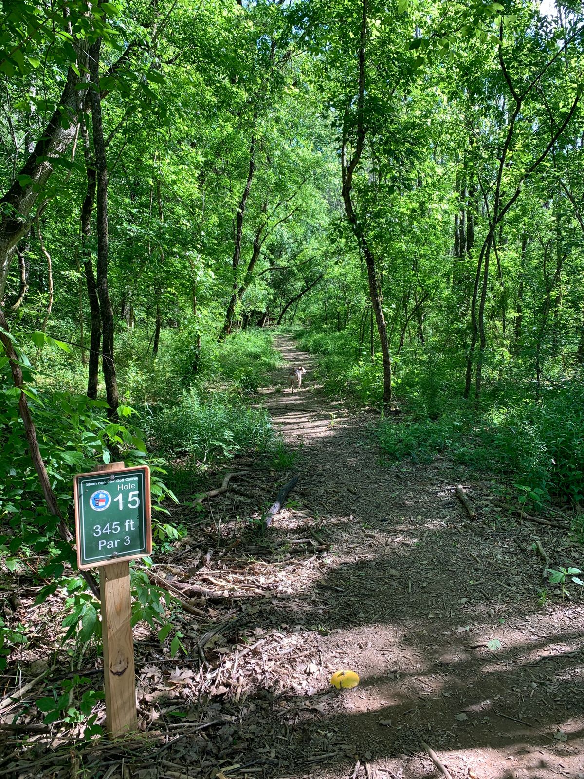 Hole 15 - Straight down, slight right finish.