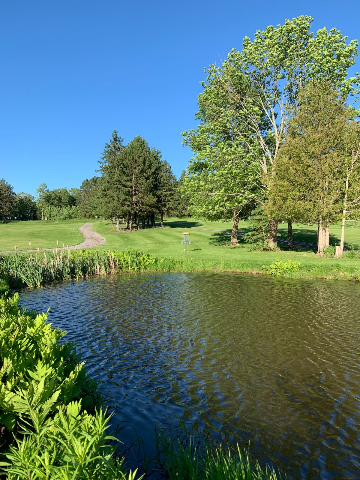 Hole 13, longs throw over the pond.