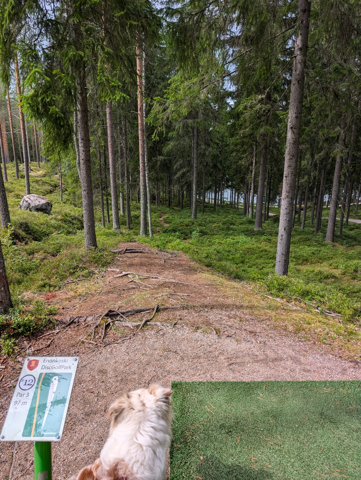 Hole 12