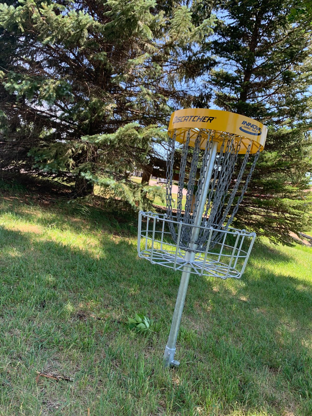 View of hole 4 basket.