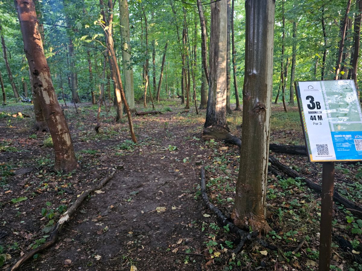 Tee 3b