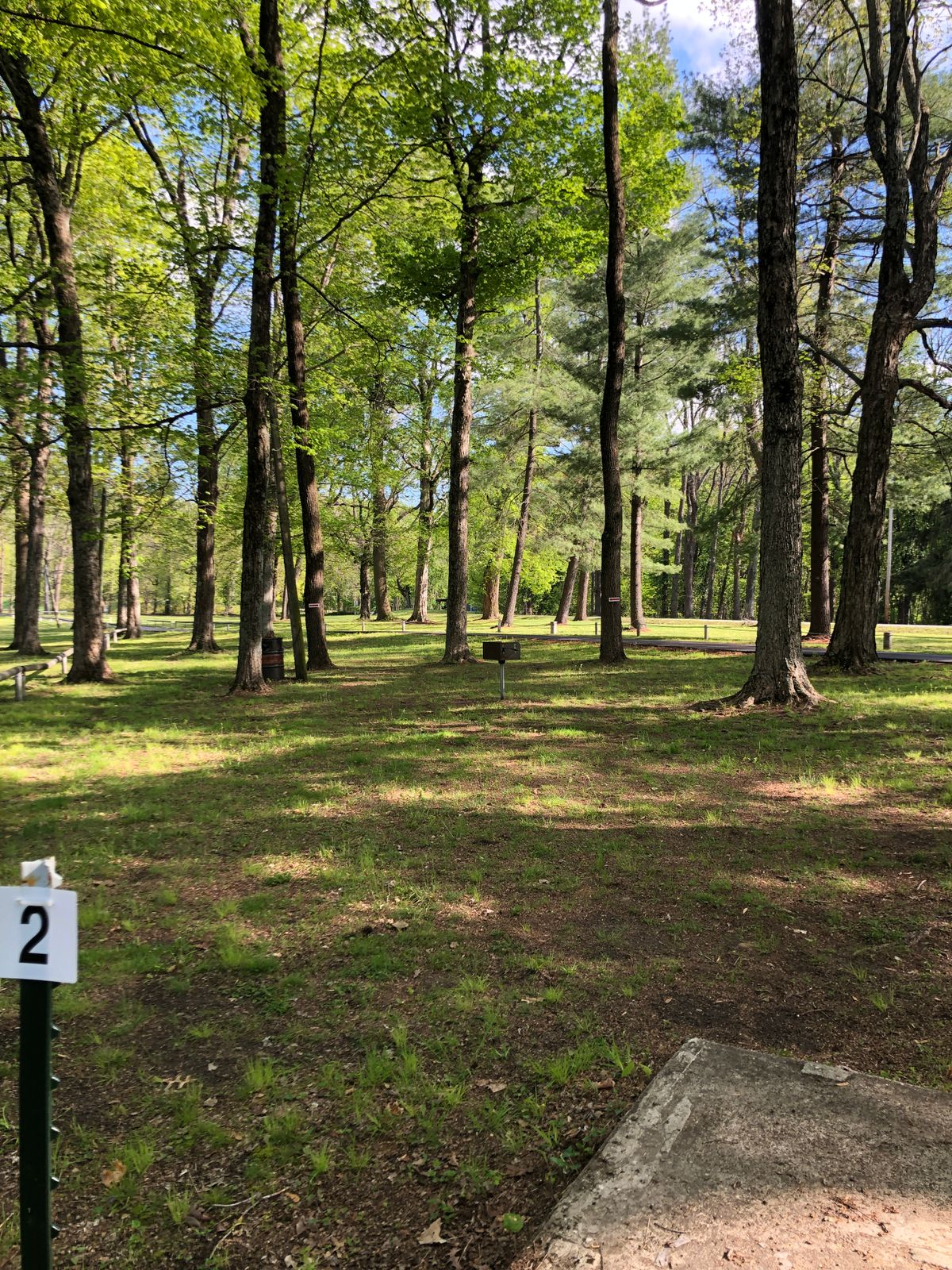 Hole 2 tee
