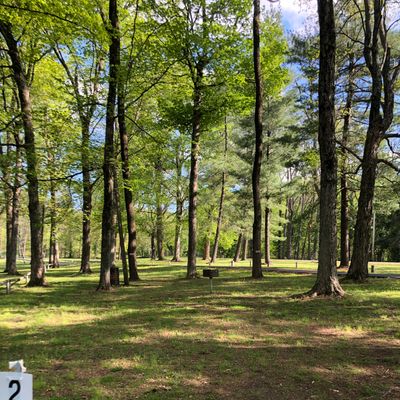 Hole 2 tee