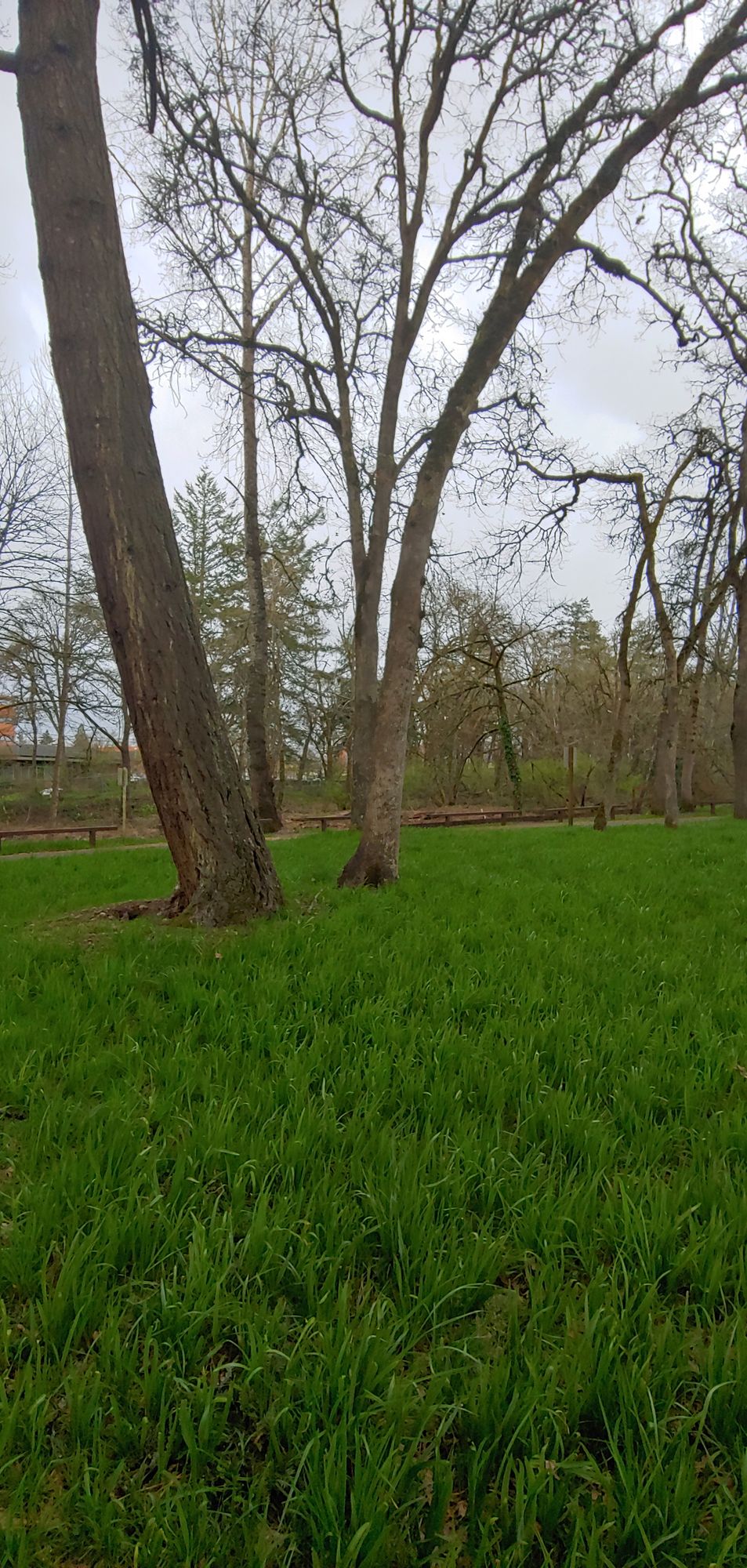 Hole 11