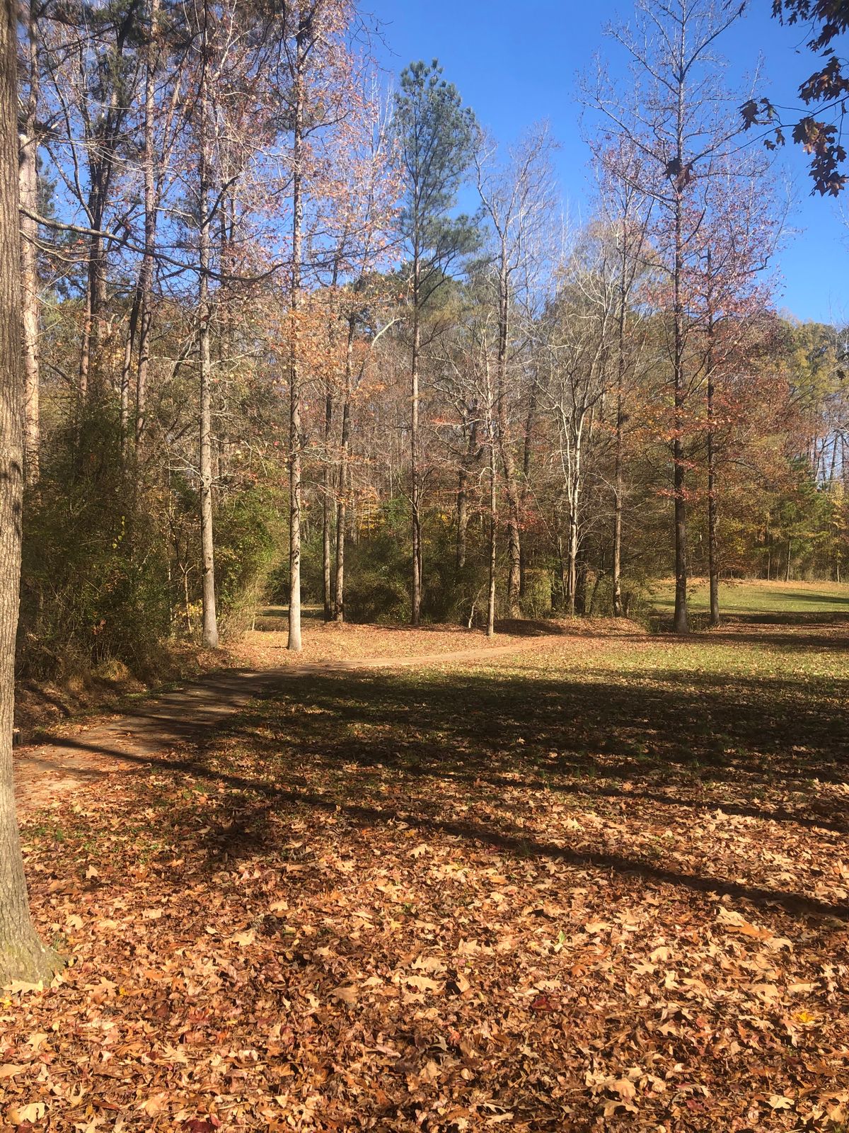 Hole 8