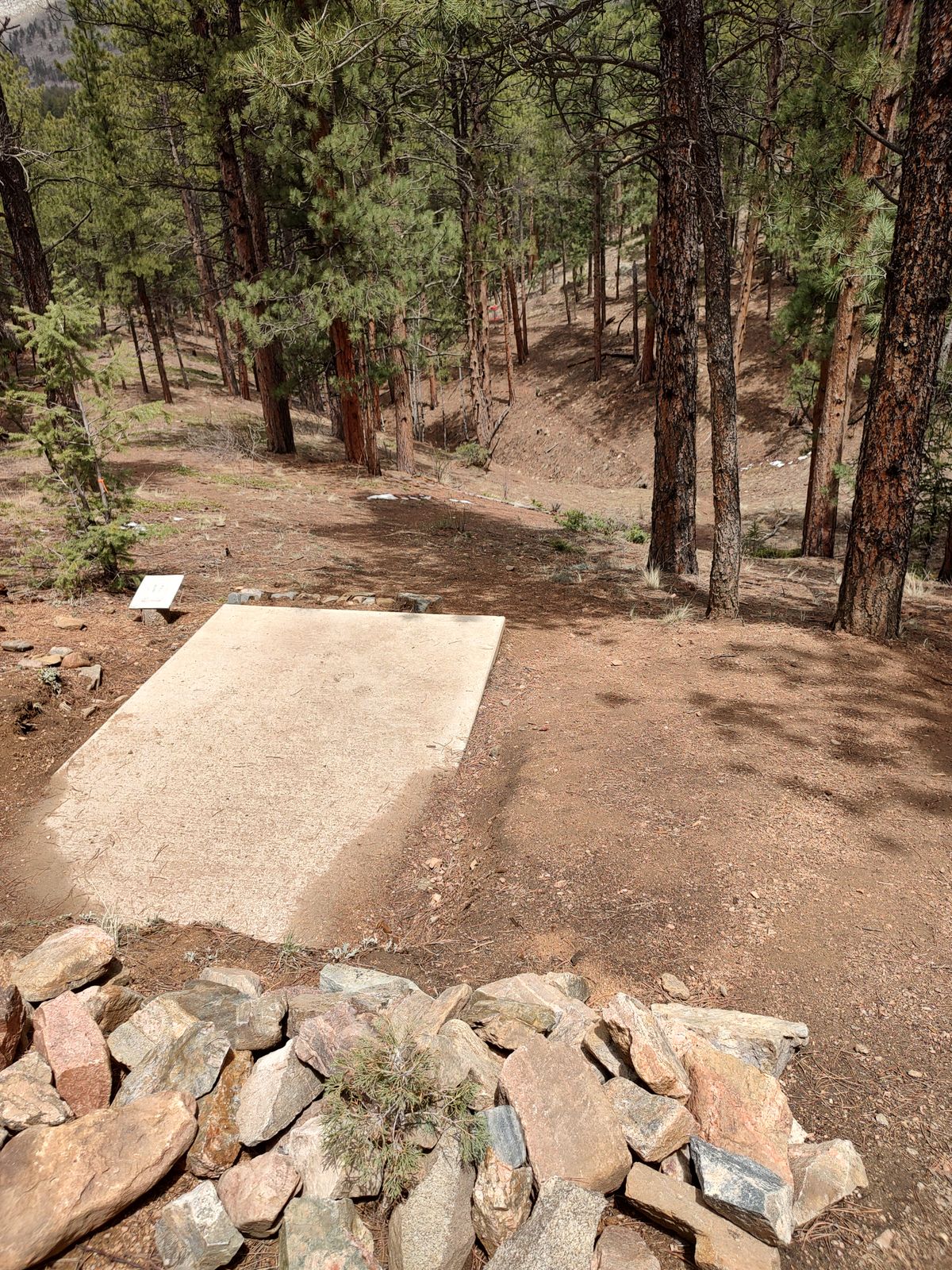 Hole 2 tee